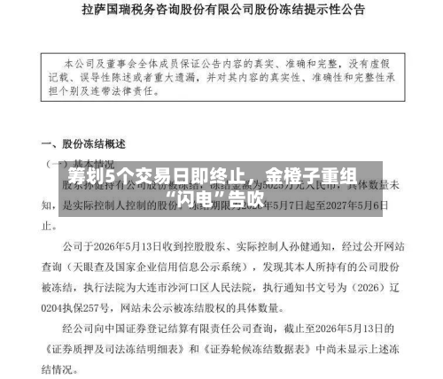 筹划5个交易日即终止，金橙子重组“闪电	”告吹-第2张图片