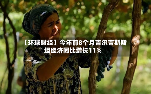 【环球财经】今年前8个月吉尔吉斯斯坦经济同比增长11%