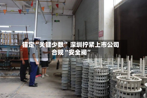 锚定“关键少数	” 深圳拧紧上市公司合规“安全阀”-第3张图片