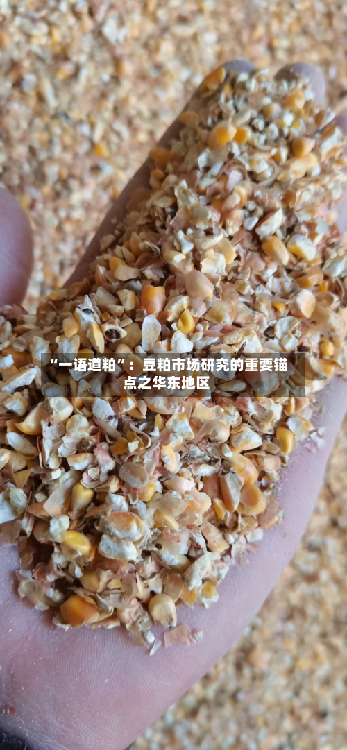 “一语道粕”：豆粕市场研究的重要锚点之华东地区-第2张图片