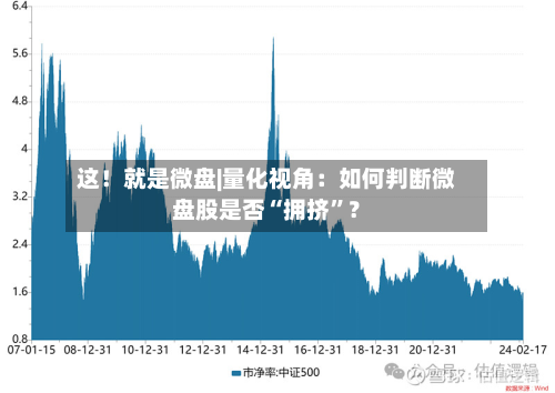 这！就是微盘|量化视角：如何判断微盘股是否“拥挤”？-第2张图片