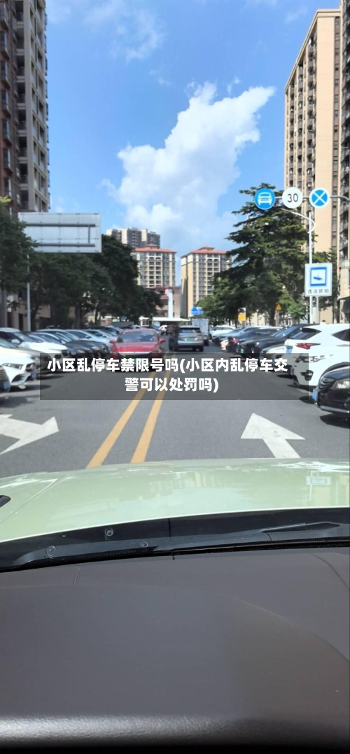 小区乱停车禁限号吗(小区内乱停车交警可以处罚吗)