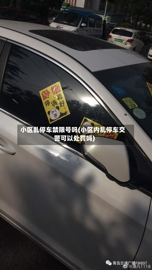 小区乱停车禁限号吗(小区内乱停车交警可以处罚吗)-第2张图片