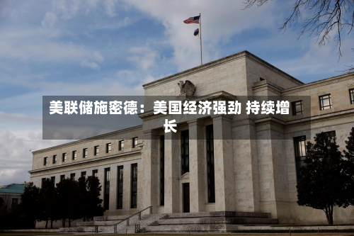 美联储施密德：美国经济强劲 持续增长