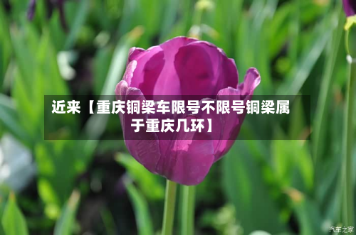 近来【重庆铜梁车限号不限号铜梁属于重庆几环】-第2张图片