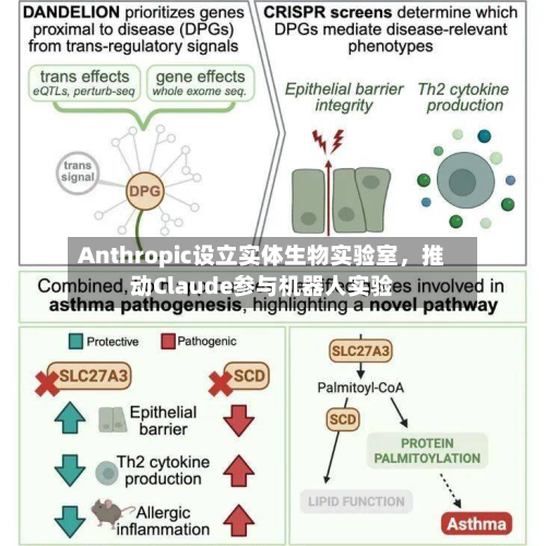 Anthropic设立实体生物实验室，推动Claude参与机器人实验-第2张图片