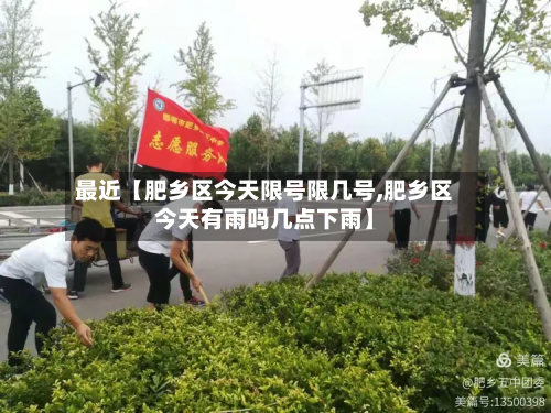 最近【肥乡区今天限号限几号,肥乡区今天有雨吗几点下雨】-第2张图片