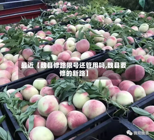最近【魏县修路限号还管用吗,魏县要修的新路】-第2张图片