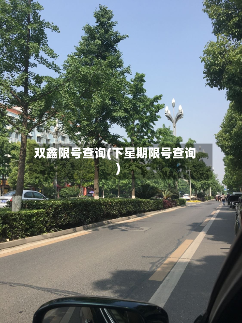双鑫限号查询(下星期限号查询)-第2张图片