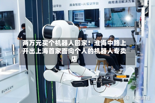 两万元买个机器人回家！淮海中路上开出上海首家面向个人的机器人专卖店