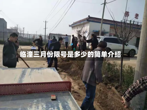 临潼三月份限号是多少的简单介绍-第2张图片