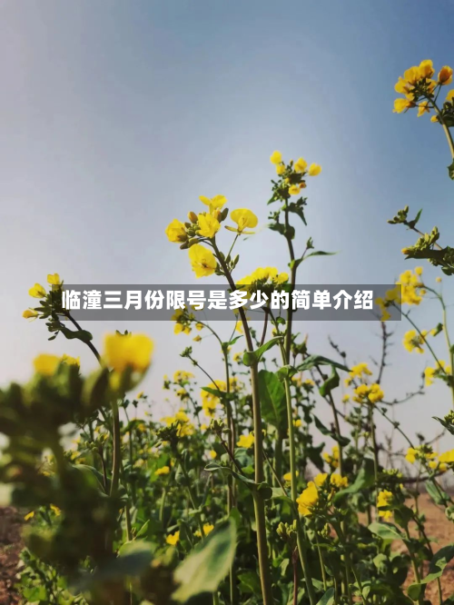 临潼三月份限号是多少的简单介绍