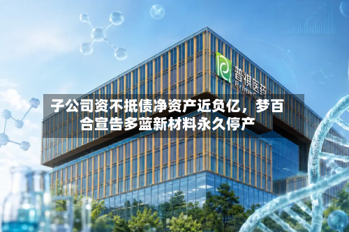 子公司资不抵债净资产近负亿，梦百合宣告多蓝新材料永久停产-第3张图片