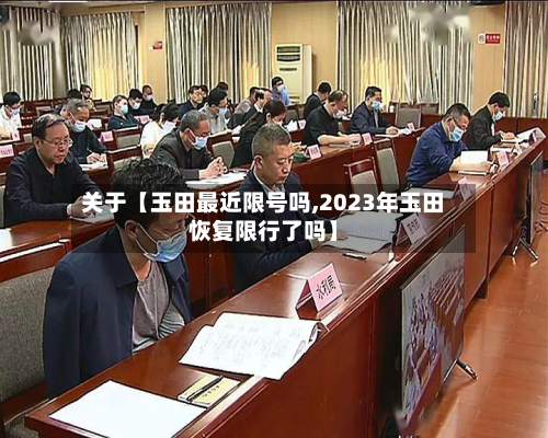 关于【玉田最近限号吗,2023年玉田恢复限行了吗】-第3张图片