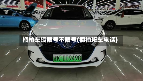 桐柏车辆限号不限号(桐柏班车电话)-第2张图片