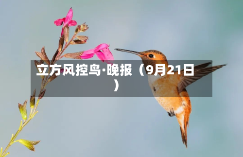 立方风控鸟·晚报(9月21日)