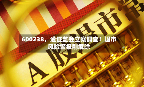 600238，遭证监会立案调查！退市风险警报刚解除-第2张图片