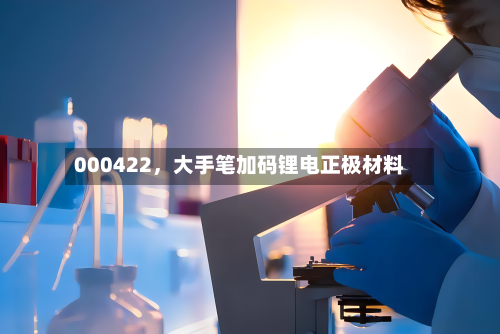 000422，大手笔加码锂电正极材料-第3张图片