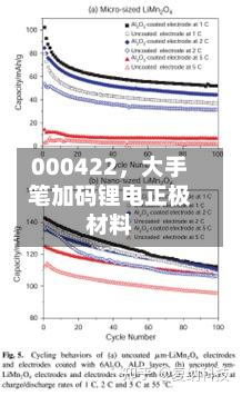 000422,大手笔加码锂电正极材料