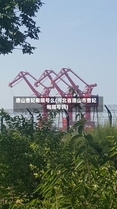 唐山曹妃甸限号么(河北省唐山市曹妃甸限号吗)-第3张图片