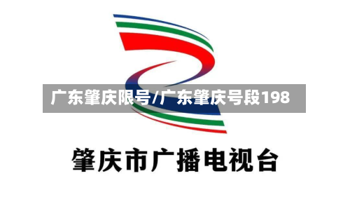 广东肇庆限号/广东肇庆号段198
