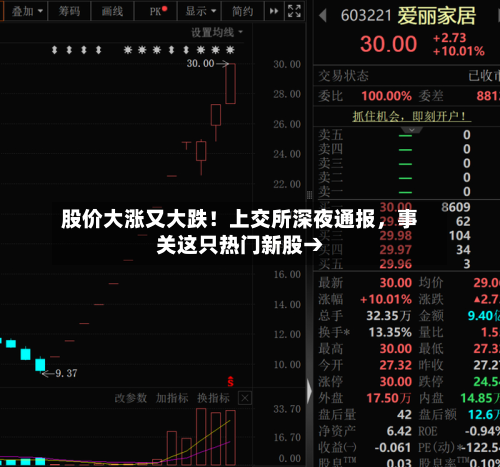 股价大涨又大跌！上交所深夜通报，事关这只热门新股→
