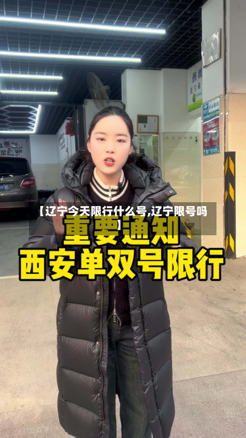 【辽宁今天限行什么号,辽宁限号吗】-第2张图片
