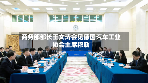 商务部部长王文涛会见德国汽车工业协会主席穆勒
