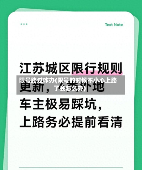 限号路过咋办(限号的时候不小心上路了会怎么办)