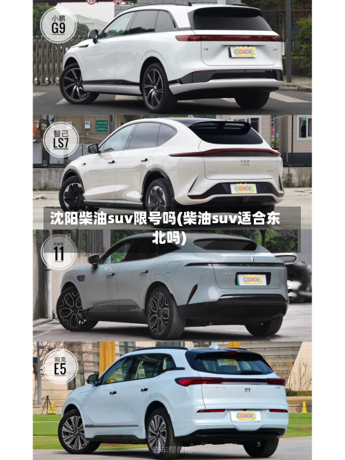 沈阳柴油suv限号吗(柴油suv适合东北吗)