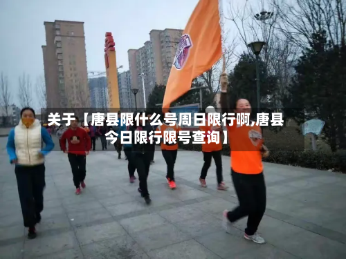 关于【唐县限什么号周日限行啊,唐县今日限行限号查询】