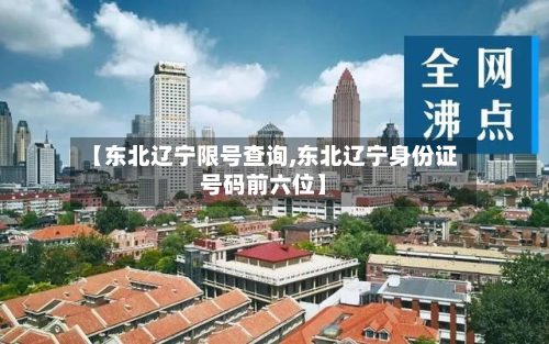 【东北辽宁限号查询,东北辽宁身份证号码前六位】-第2张图片