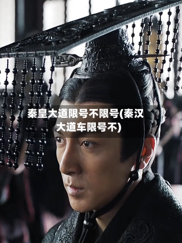 秦皇大道限号不限号(秦汉大道车限号不)