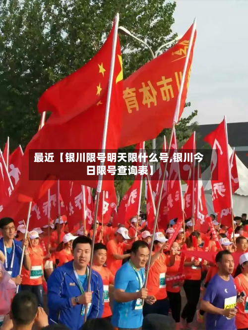 最近【银川限号明天限什么号,银川今日限号查询表】