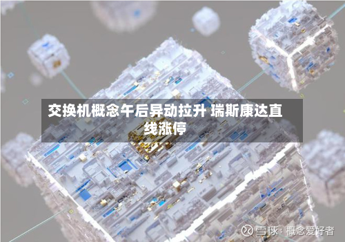交换机概念午后异动拉升 瑞斯康达直线涨停-第2张图片