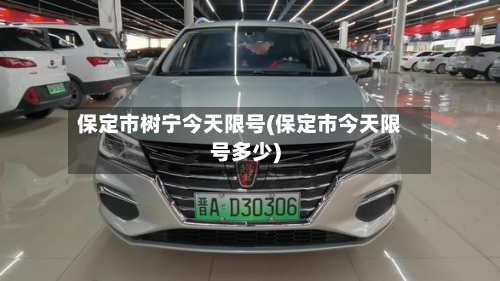 保定市树宁今天限号(保定市今天限号多少)-第2张图片