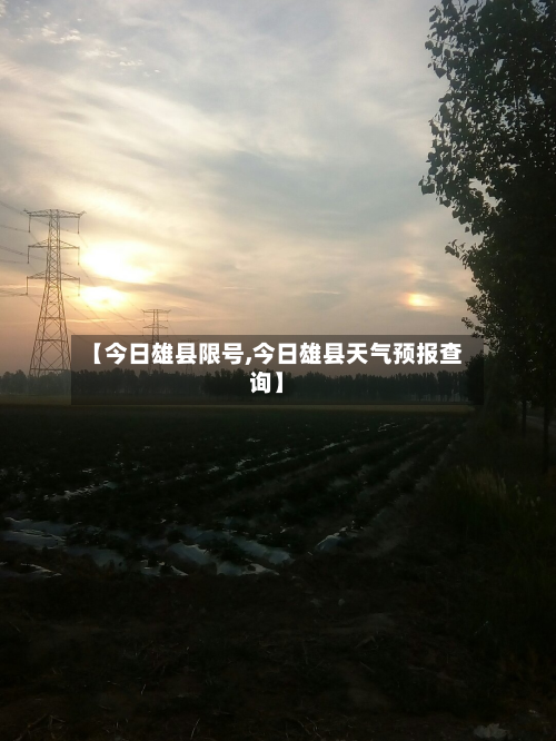 【今日雄县限号,今日雄县天气预报查询】