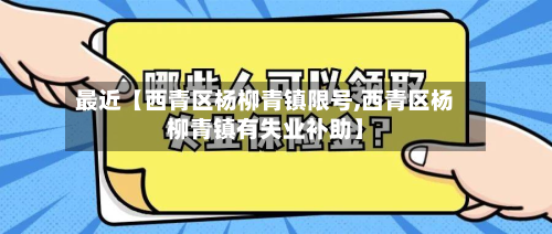 最近【西青区杨柳青镇限号,西青区杨柳青镇有失业补助】-第2张图片