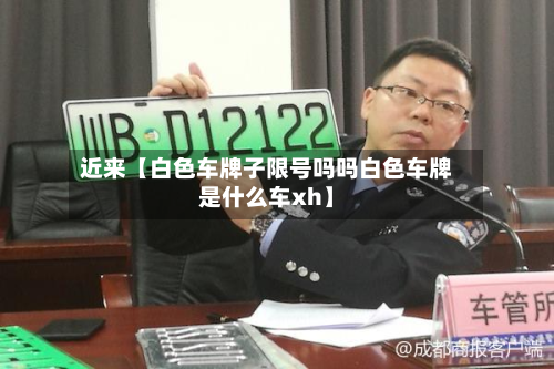 近来【白色车牌子限号吗吗白色车牌是什么车xh】-第3张图片