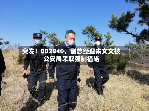 突发！002840，副总经理朱文文被公安局采取强制措施-第3张图片