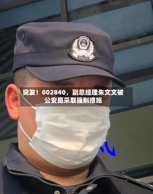 突发！002840，副总经理朱文文被公安局采取强制措施-第2张图片