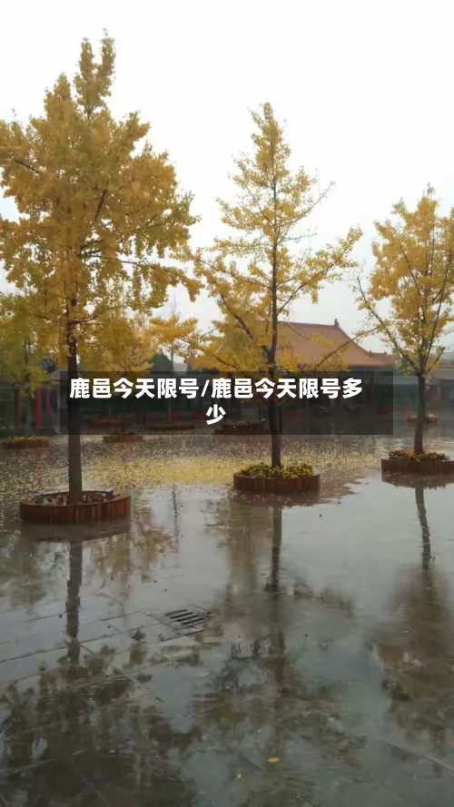 鹿邑今天限号/鹿邑今天限号多少