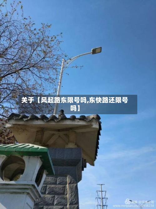 关于【风起路东限号吗,东快路还限号吗】-第3张图片