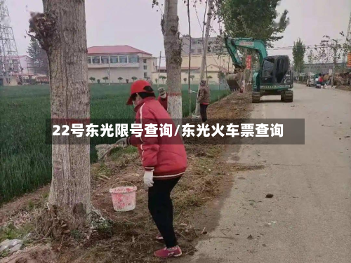 22号东光限号查询/东光火车票查询-第3张图片
