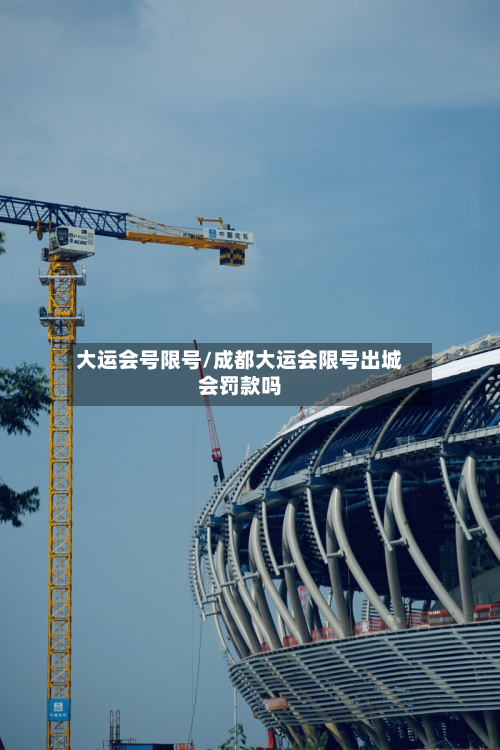 大运会号限号/成都大运会限号出城会罚款吗-第2张图片
