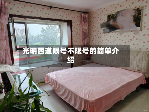 光明西道限号不限号的简单介绍-第2张图片