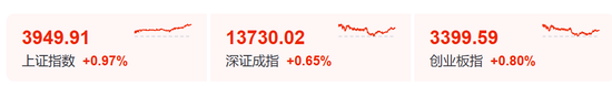 “小作文”，引发的大涨！