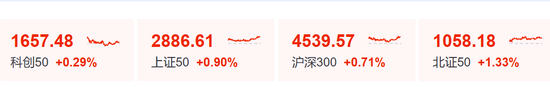 “小作文”，引发的大涨！